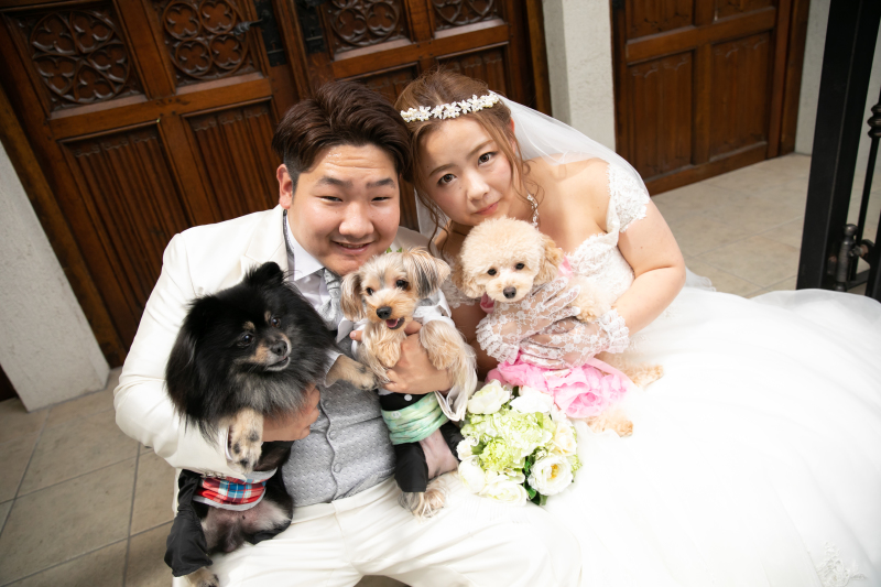 《ペットと撮影》ペットと一緒にドレスで撮影プラン