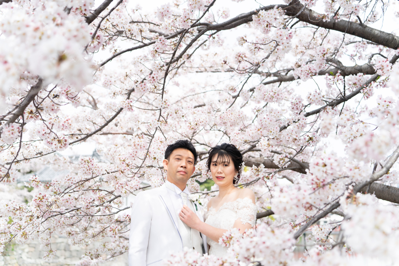 《桜ロケーション》洋装フォトプラン