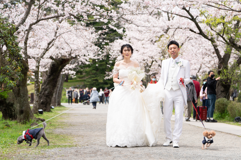 《桜ロケーション》洋装フォトプラン