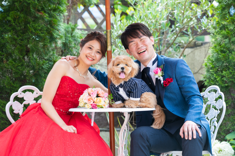 《ペットと撮影》ペットと一緒にドレスで撮影プラン