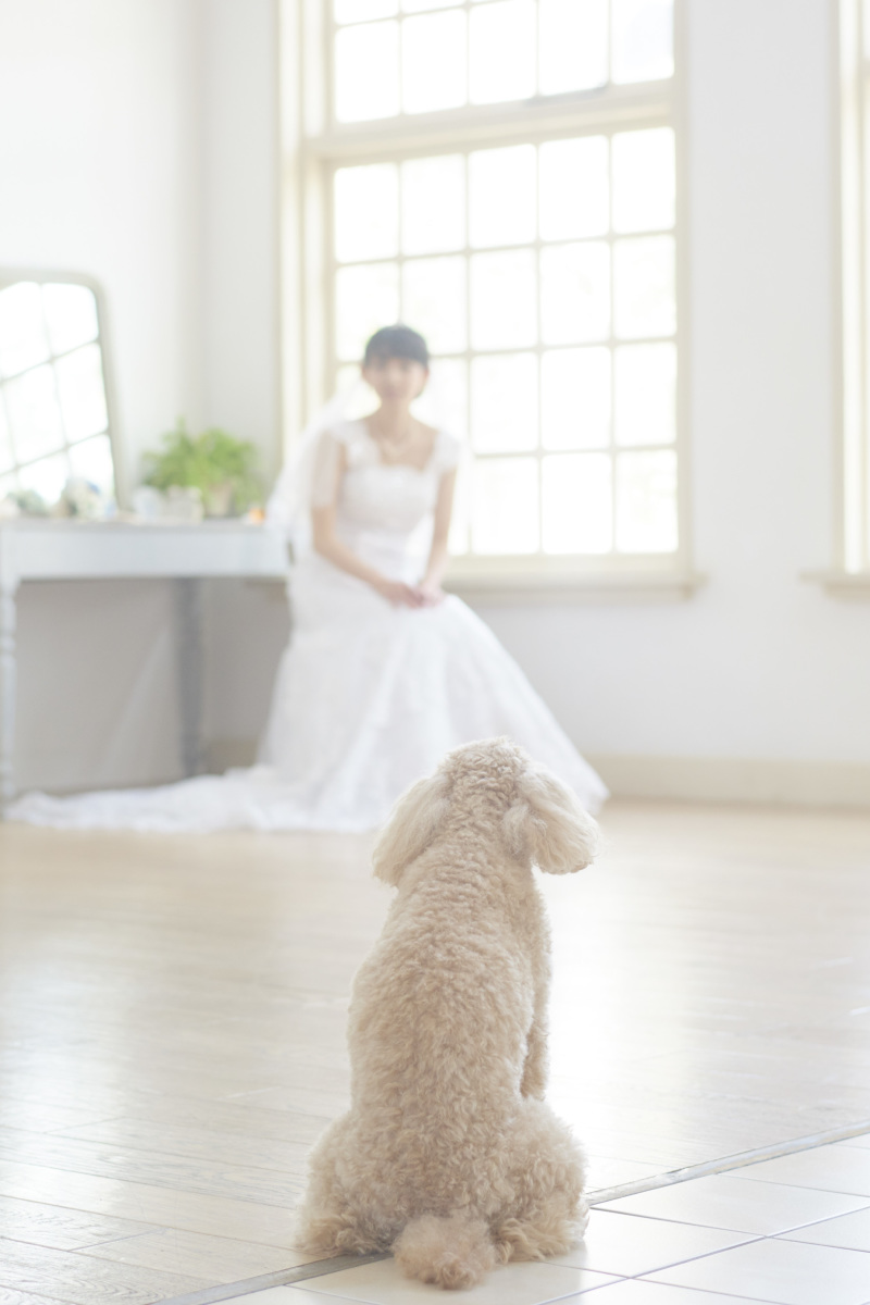 ワンちゃんも一緒です