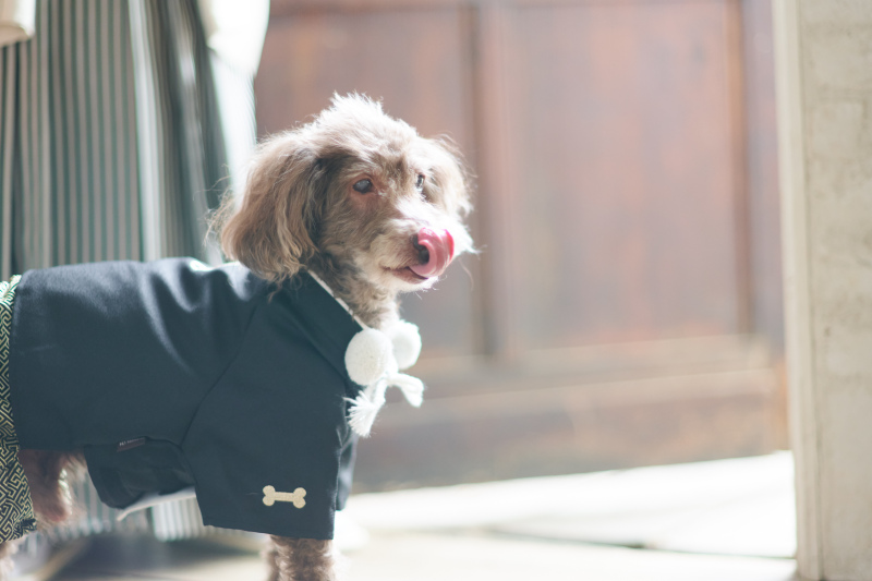 本日、もう一人の主役です!!