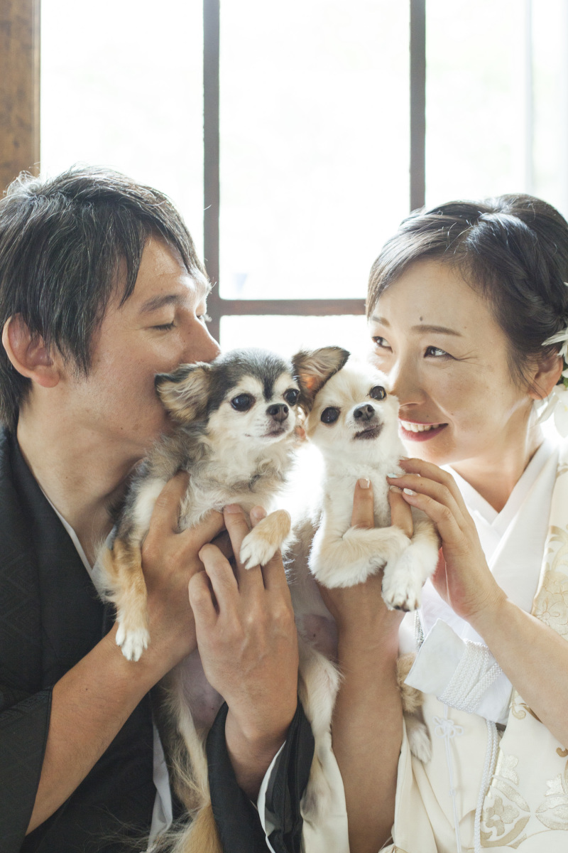 きもの1＋ドレス1　プラン