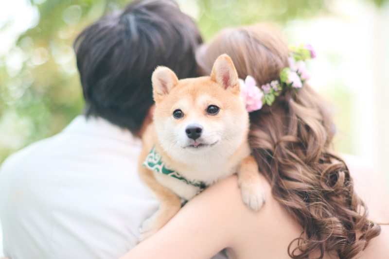 ひょっこり♡