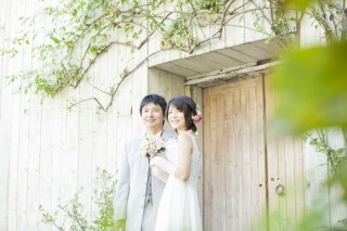 ドレス２+アルバム　プラン