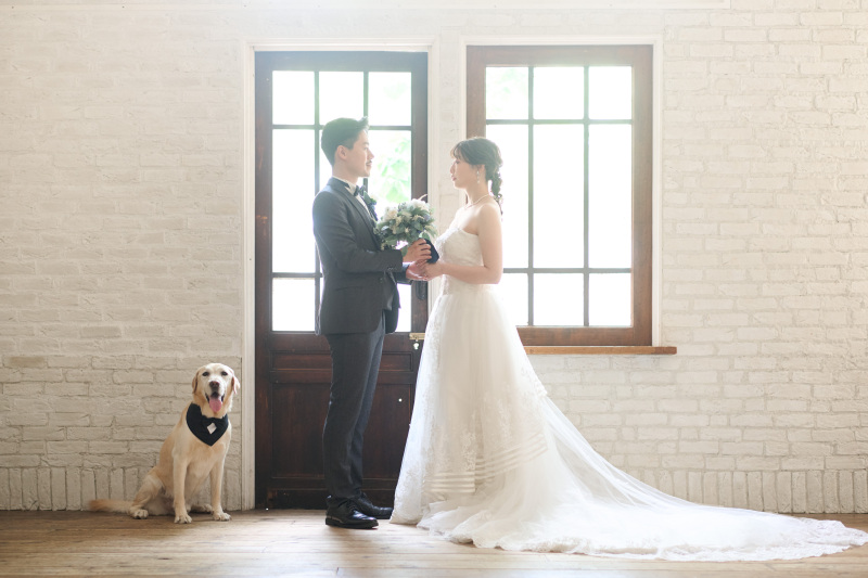 幻想的な光の中で