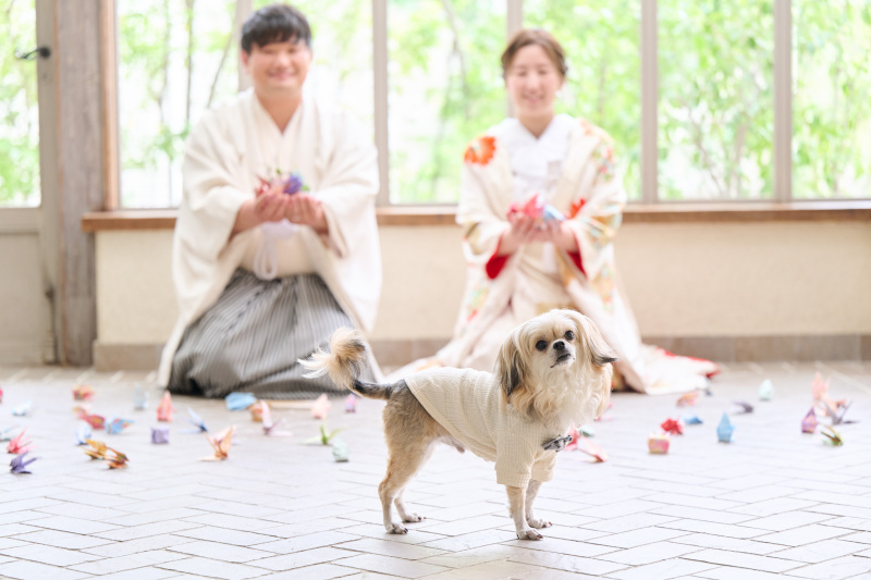 ここで良い??