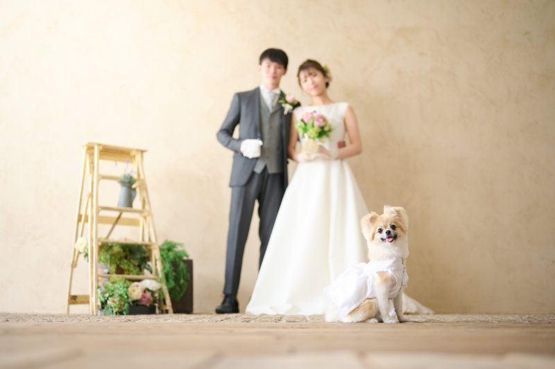 みんなでお色直し♪♪