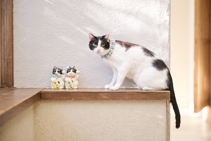 思い出の品と一緒に☆