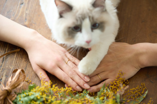 ペットや持込小物と特別な１日を一生の宝物に♡