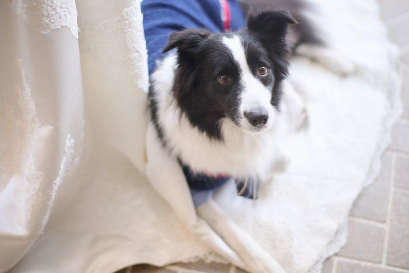 大好きなママの足元で