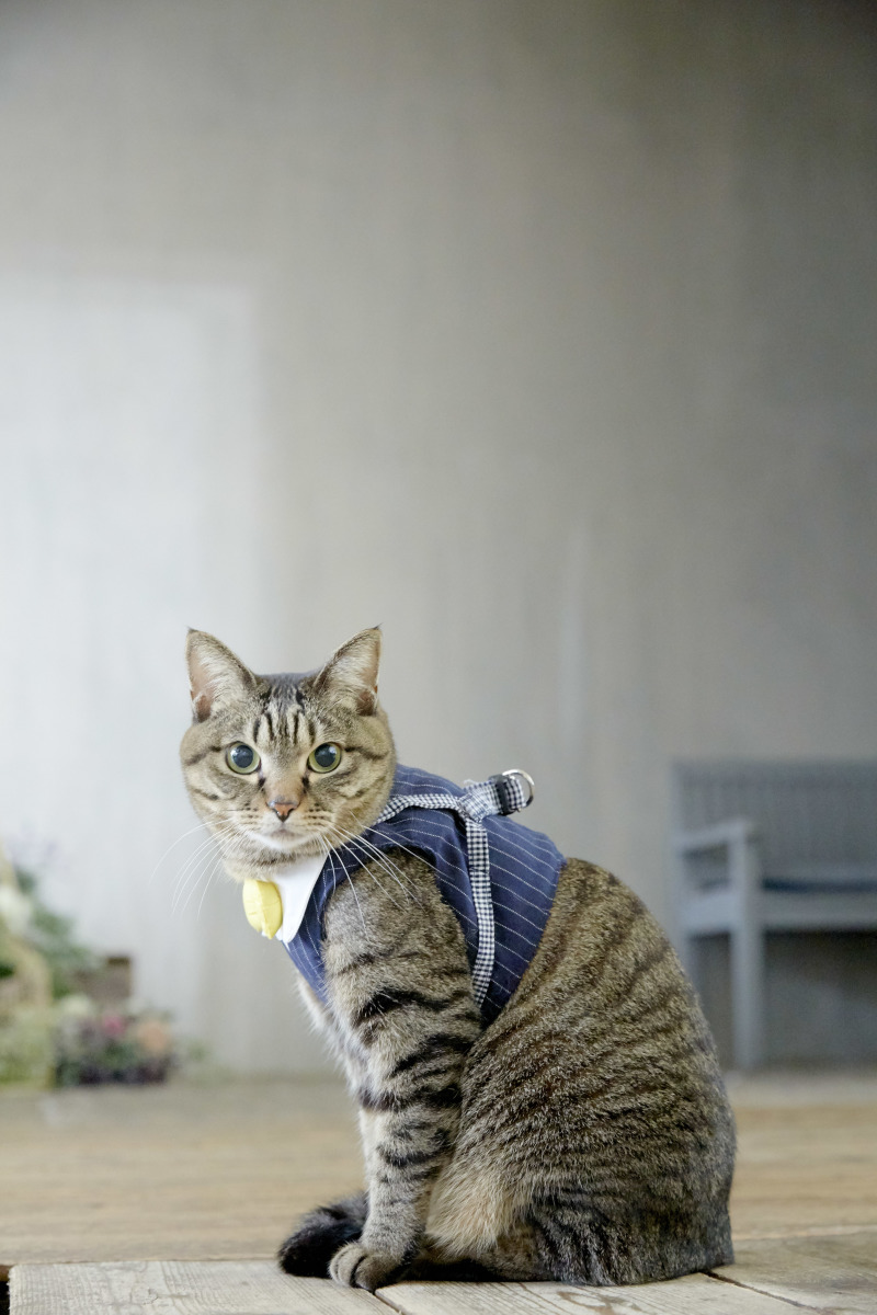 二人だけじゃない、フォトウェディング