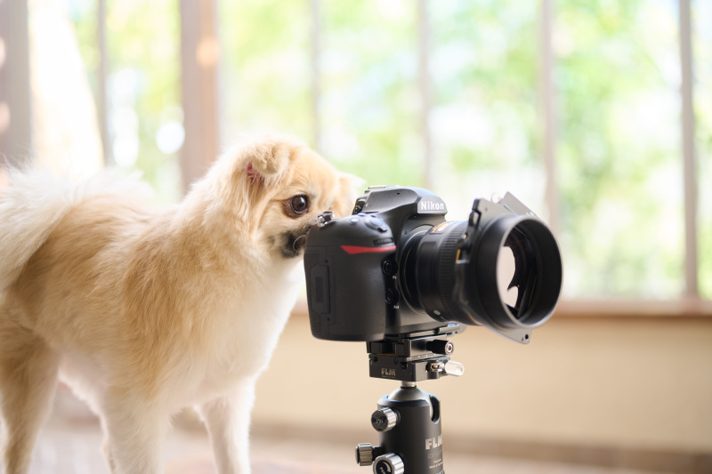 最後の大仕事!!腕の見せ所ですよ!!