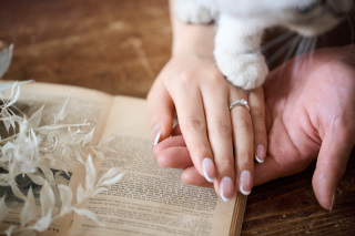 大好きなペットも一緒に♡