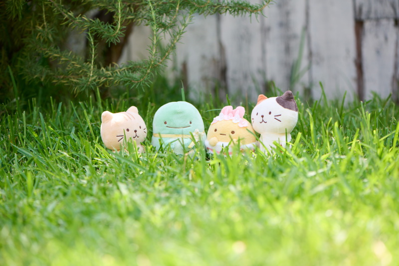 お庭でぬいぐるみだけの撮影も無料で追加♪