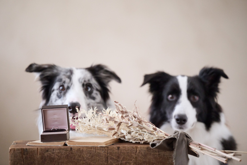 今日の主役は？！