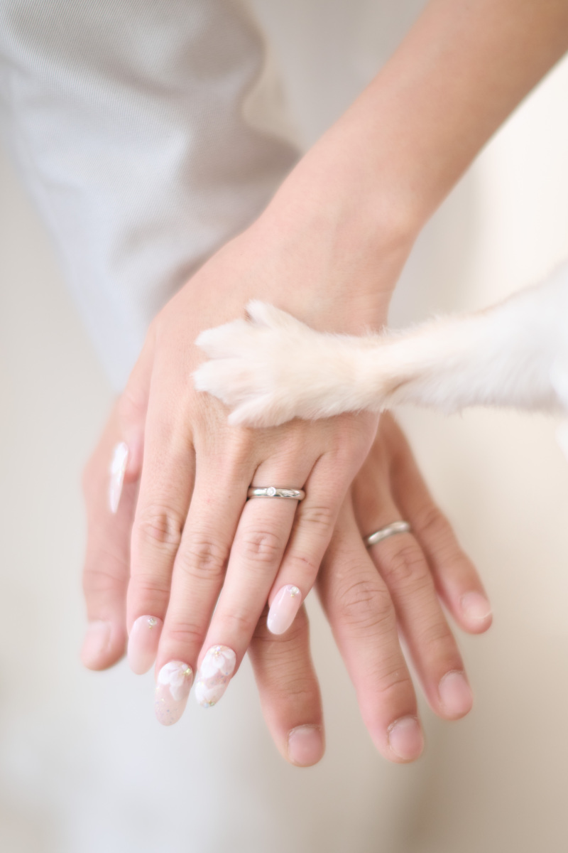 わんちゃんも一緒に幸せの誓い♡