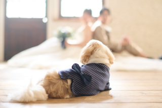 大切な家族に見守られてのウェディング♡