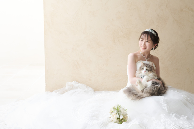 ドレスも猫ちゃんもふわふわ♡
