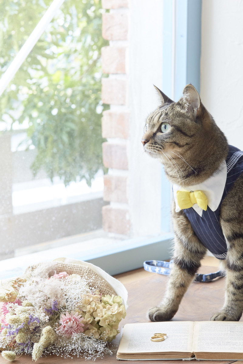 それぞれのかたちで♪