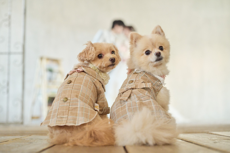 おそろいのお洋服で♪