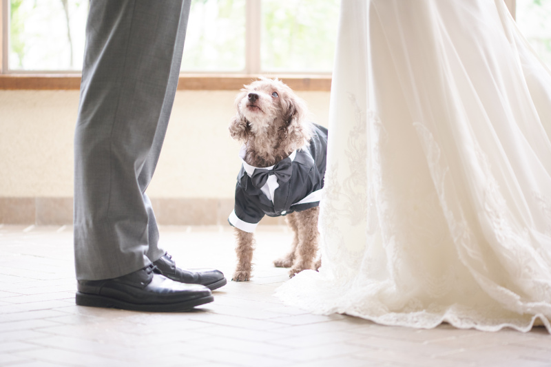 足元では・・・?