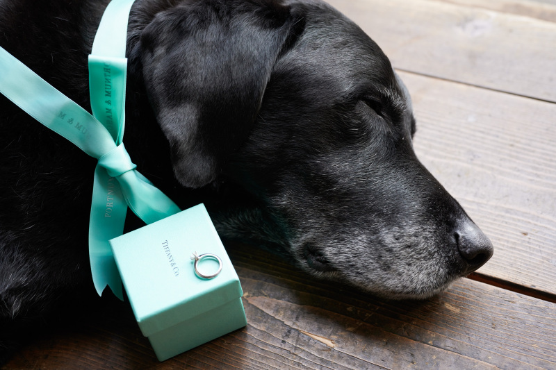 撮影お疲れ様♪