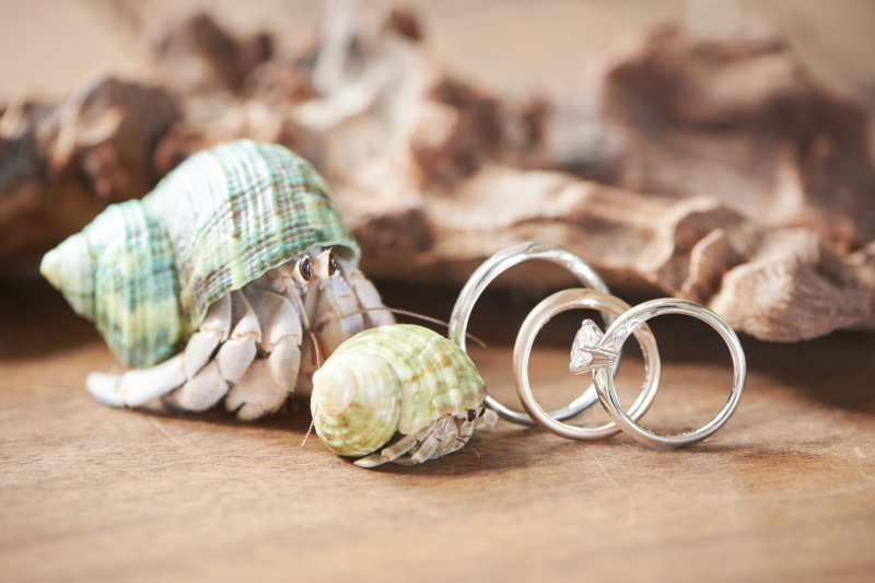 小物撮影×ペットの組み合わせ♡