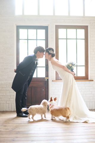 スタジオ マタニティウェディングフォト 画像