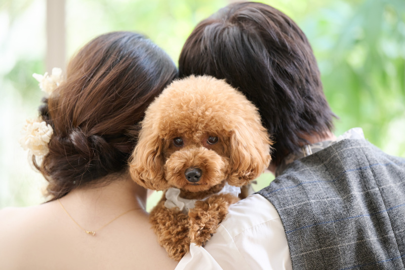 お二人の間からひょこっ♡