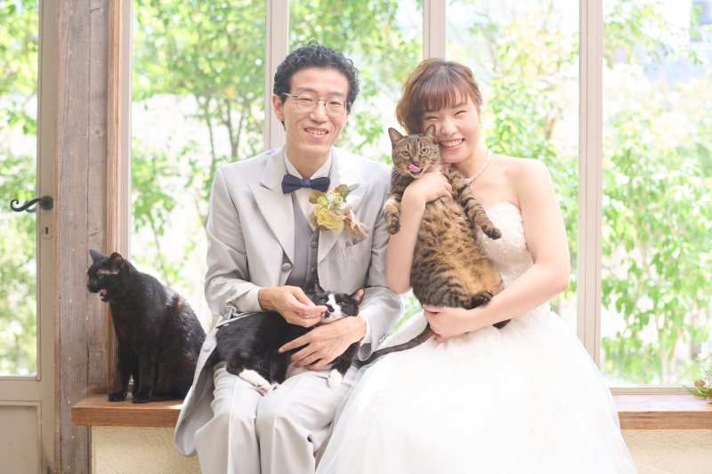 猫ちゃん集まれ~~!