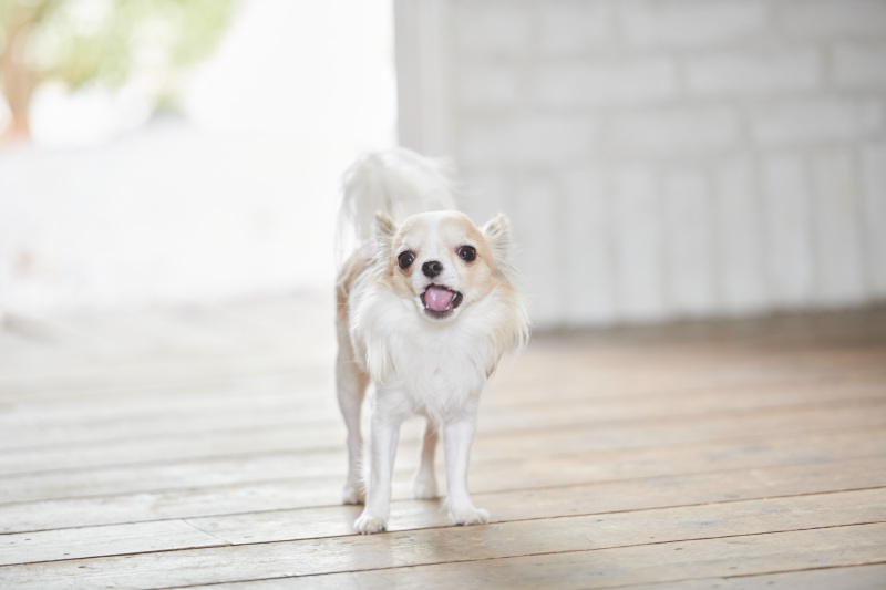 1日お疲れ様でした♡