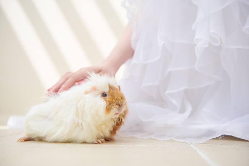 本日は小さなゲストと一緒に♡