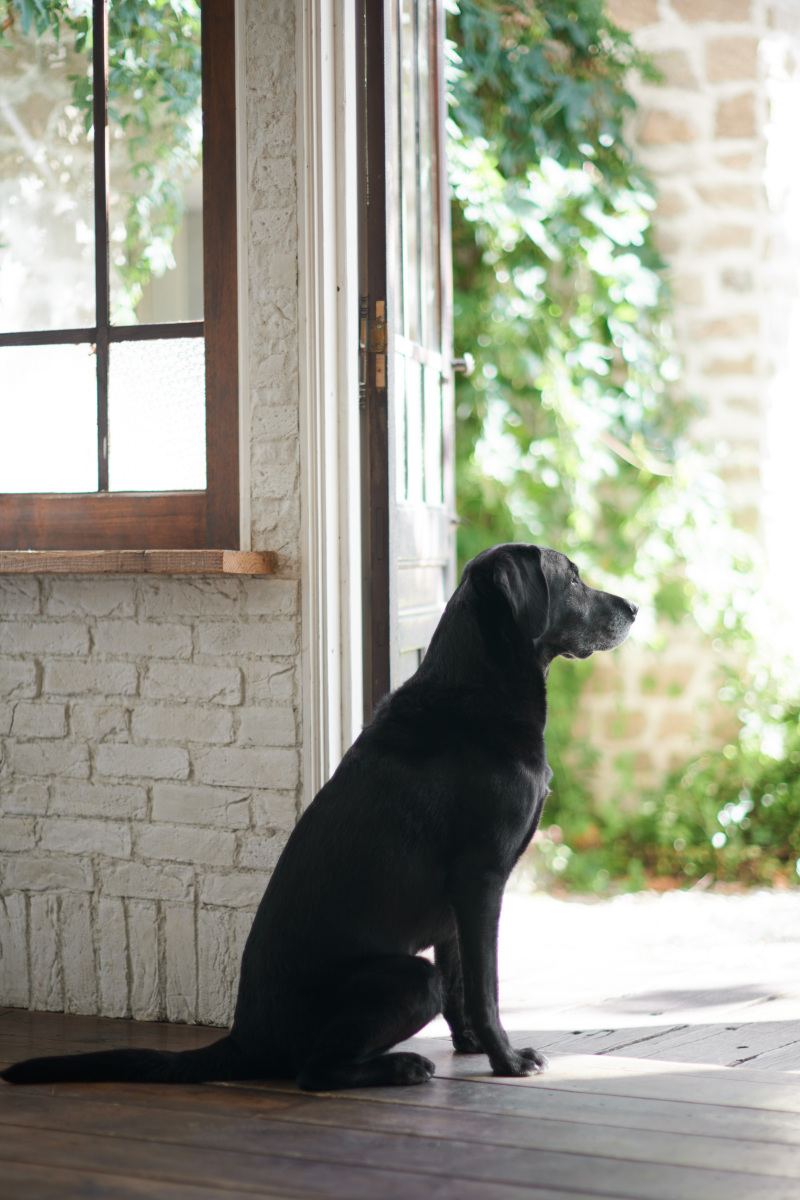 素敵な撮影アシスタント＾＾