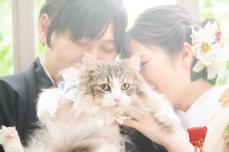 大好きなペットと特別な一日♡