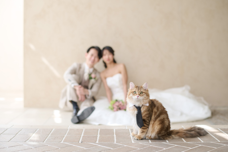 ねこちゃん越しのお二人♡
