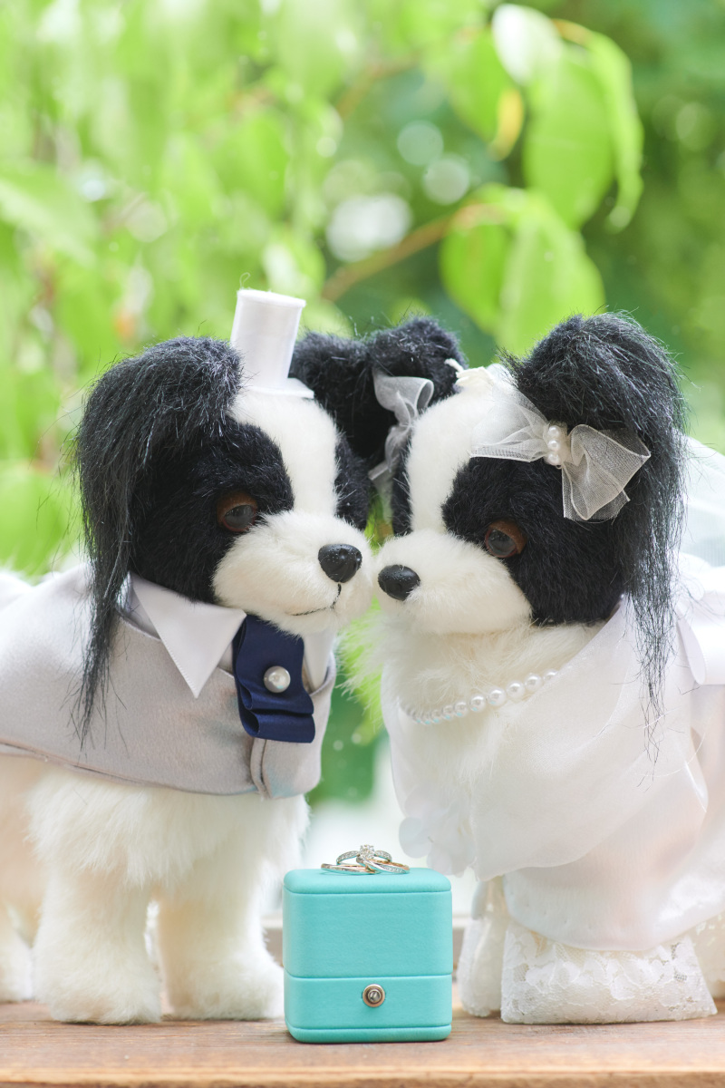 大切な小物の撮影から♪