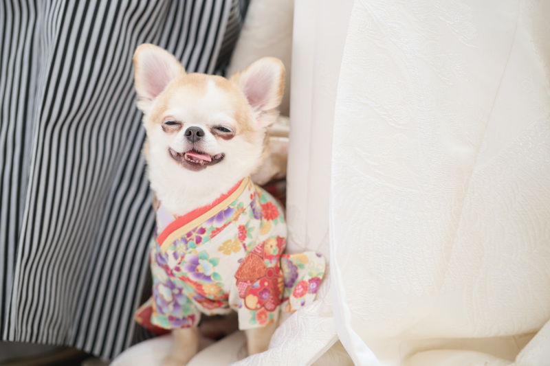 にっこり笑顔♡