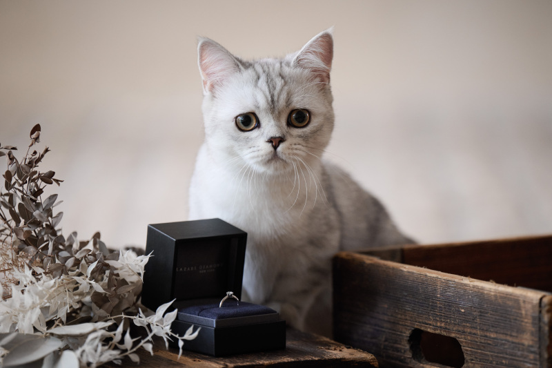 本日の主役は・・・?^^