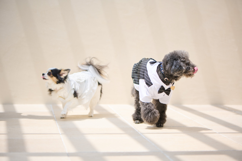 私達いつでもスタンバイOKよ～