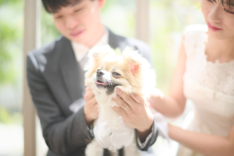 はぁ~~~気持ちい~~~