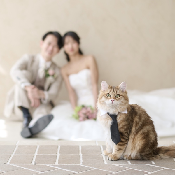 サロンドパルール　salon de parure