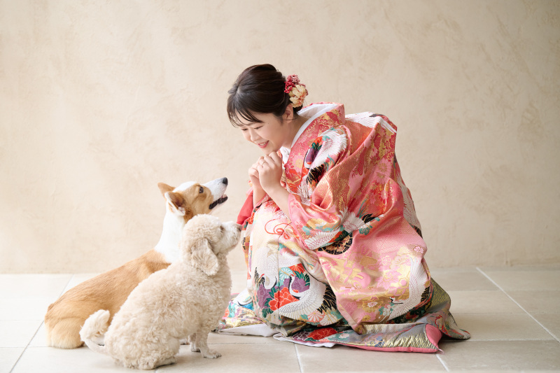 きものもドレスもどっちも着られる！