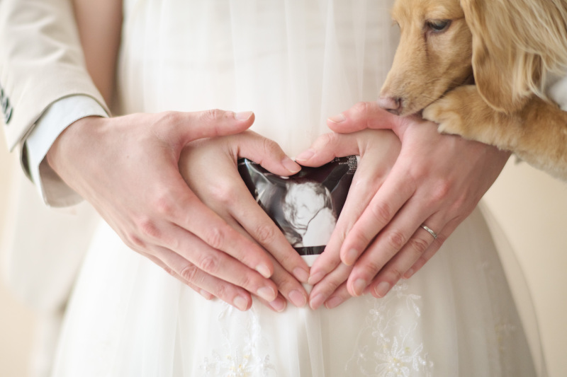 ドレスでも着物でもOK！