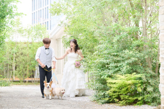 ペット撮影も無料！大切な家族の一員と特別な1日を