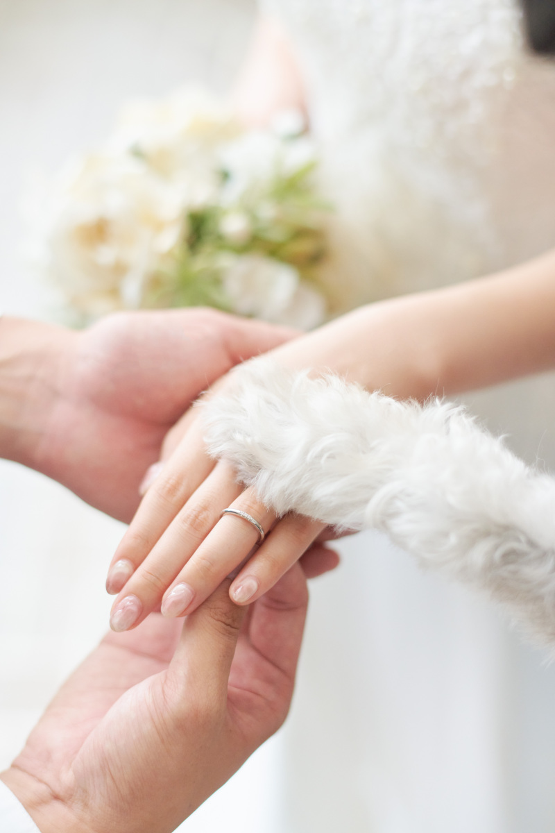 サロンドパルール salon de parure_ペットと一緒に撮影できる