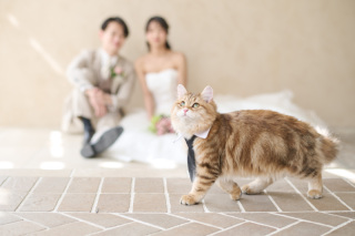 サロンドパルール　salon de parure