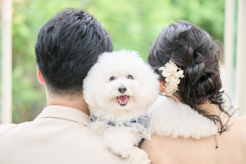 新郎新婦の肩からぴょこ!