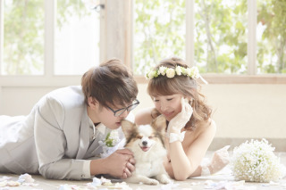 ペットとの撮影