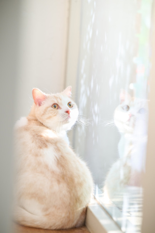 サロンドパルール　salon de parure_動物PHOTO大集合！